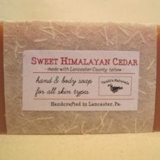 Tandi’s Naturals Sweet Himalayan Cedar Soap from Gimme the Good Stuff