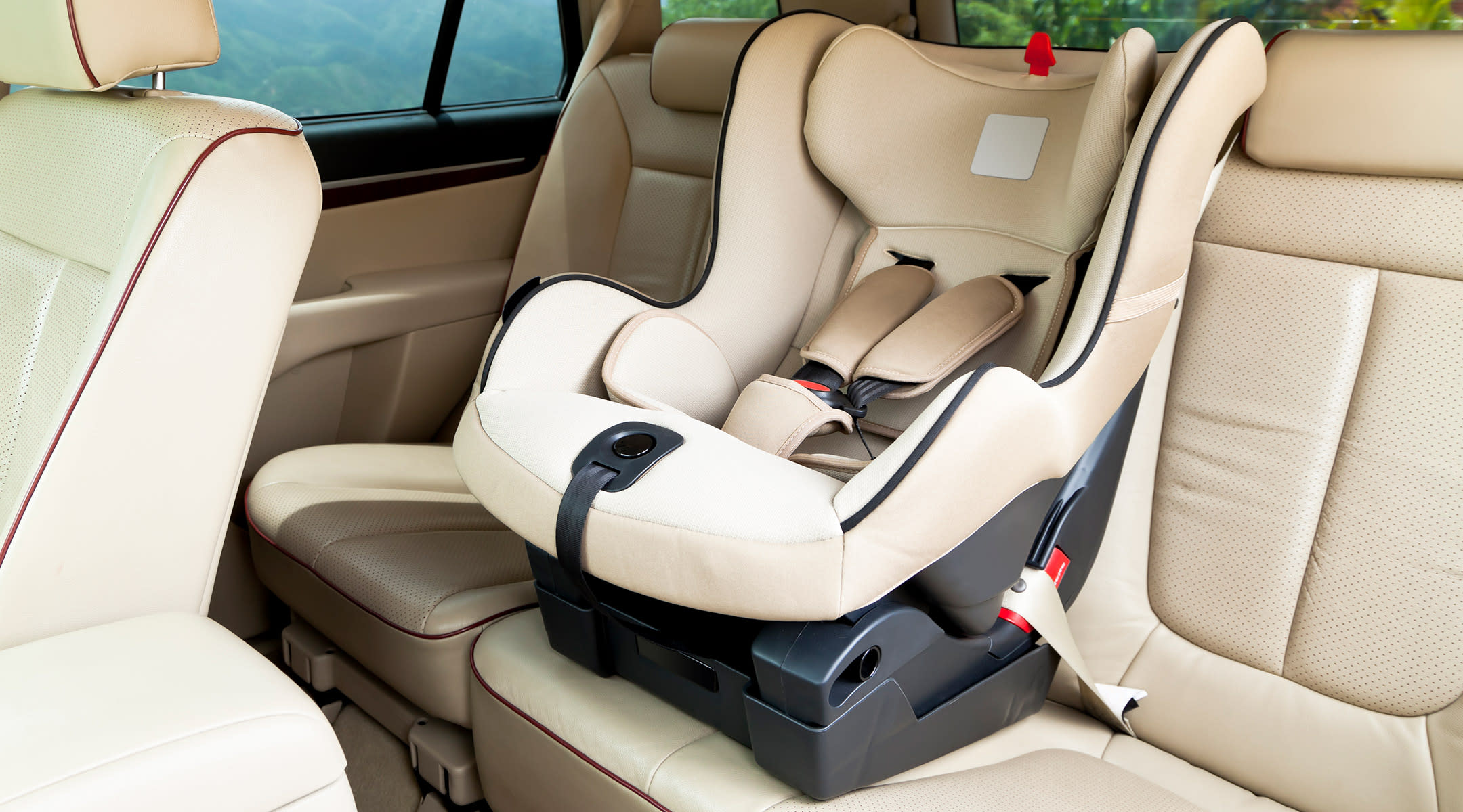 Glossary, The Ultimate Car Seat Guide