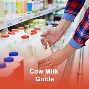 cow-milk-guide